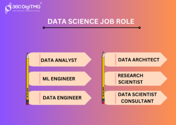 Top 10 Data Science Roles to Look Out for in 2024